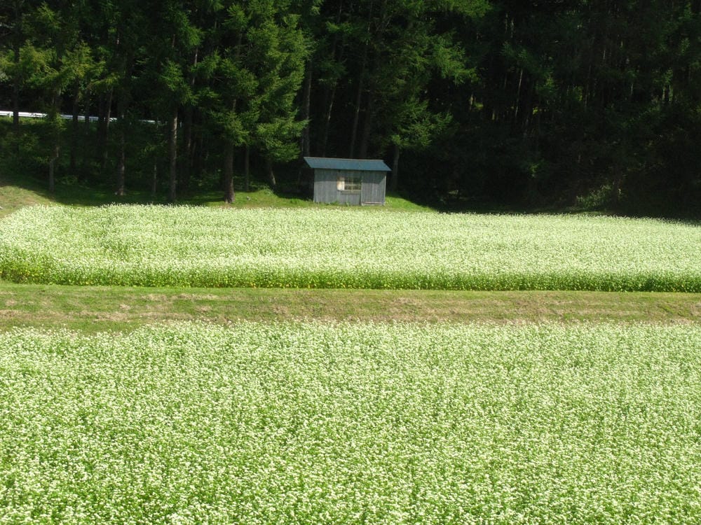 小海線 (5).JPG 小海線 (5).JPG