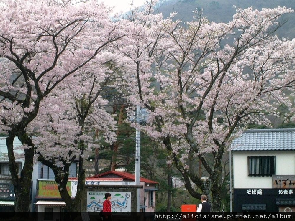 鬼怒川公園前.JPG 鬼怒川公園前.JPG
