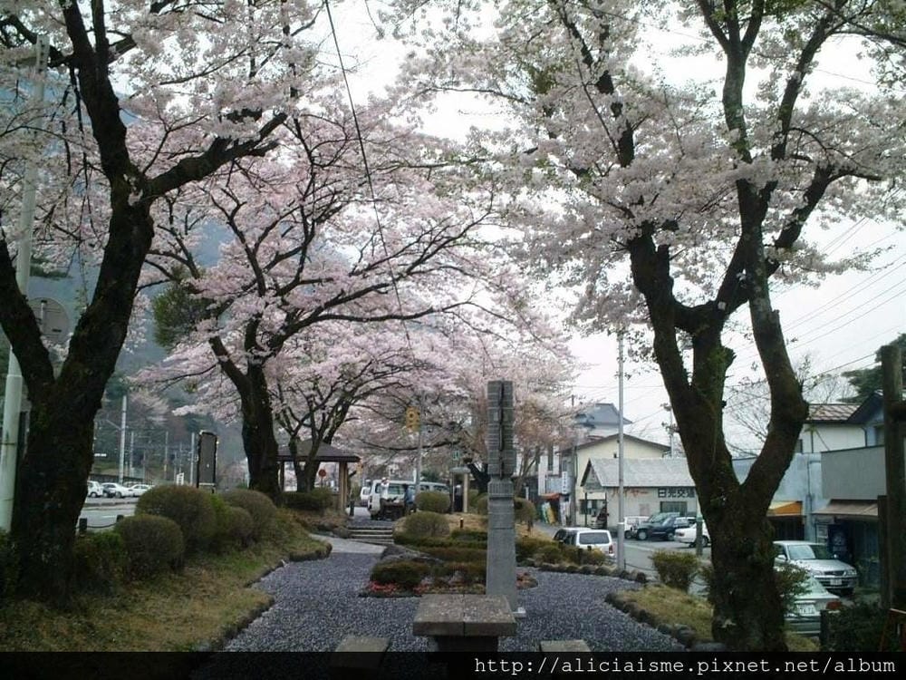 鬼怒川公園前2.JPG 鬼怒川公園前2.JPG