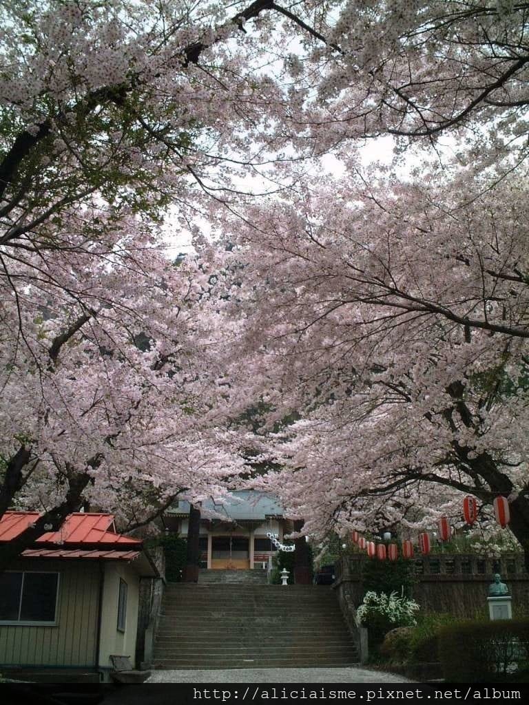 溫泉神社13.JPG 溫泉神社13.JPG