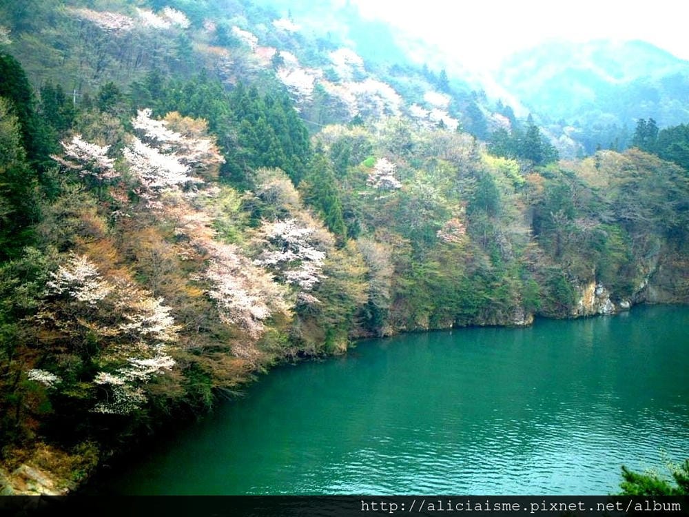 鬼怒川沿岸6.JPG 鬼怒川沿岸6.JPG