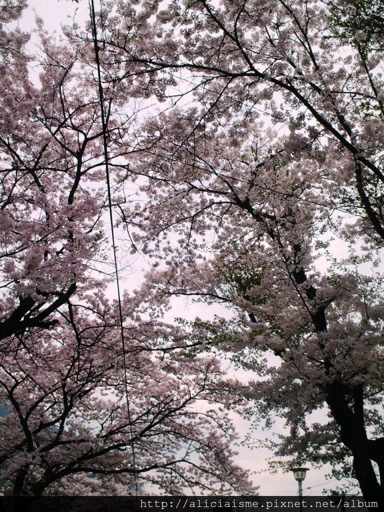 鬼怒川公園前6.JPG 鬼怒川公園前6.JPG