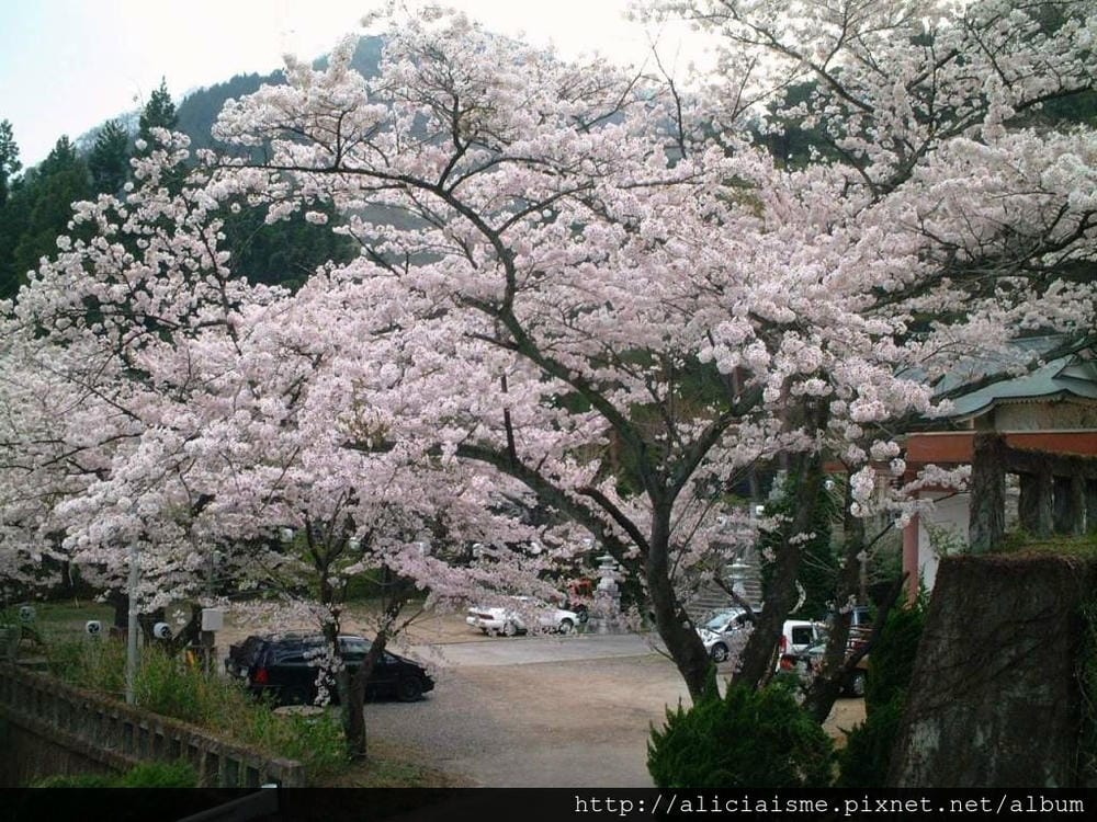 溫泉神社3.JPG 溫泉神社3.JPG