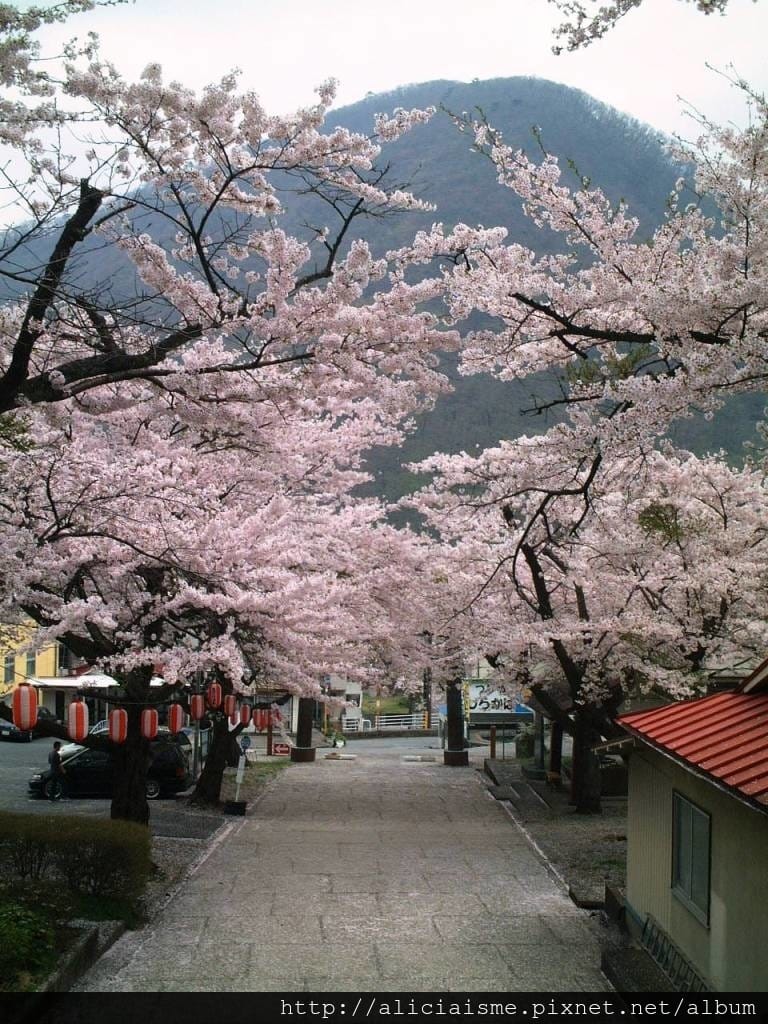 溫泉神社7.JPG 溫泉神社7.JPG