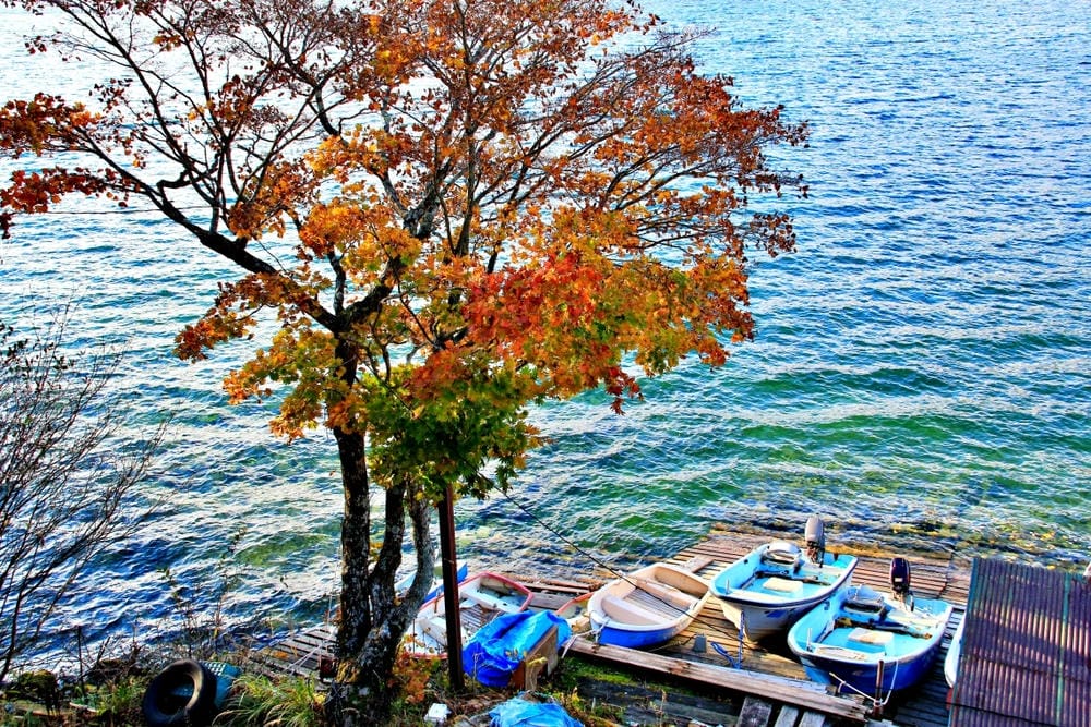 【栃木縣|日光】中禪寺湖、中禪寺:在紅橙黃的波浪層次堆疊間, 【栃木縣|日光】中禪寺湖、中禪寺:在紅橙黃的波浪層次堆疊間,