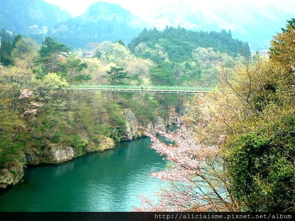 鬼怒川沿岸9.JPG 鬼怒川沿岸9.JPG