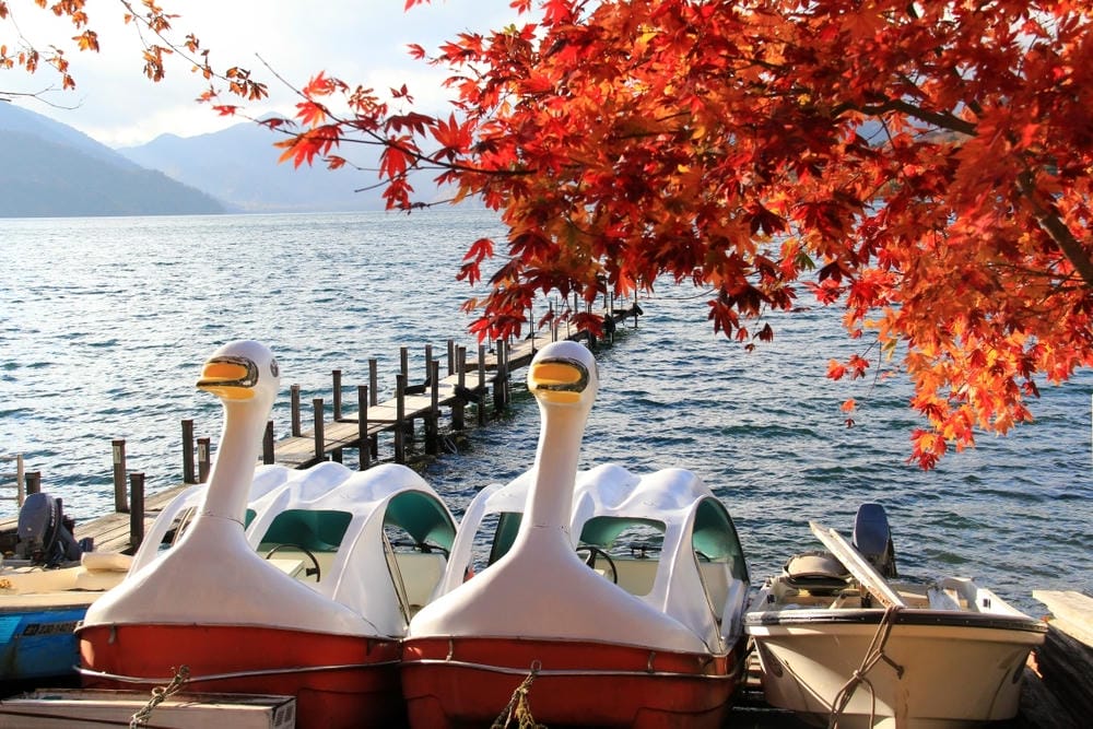 【栃木縣|日光】中禪寺湖、中禪寺:在紅橙黃的波浪層次堆疊間, 【栃木縣|日光】中禪寺湖、中禪寺:在紅橙黃的波浪層次堆疊間,