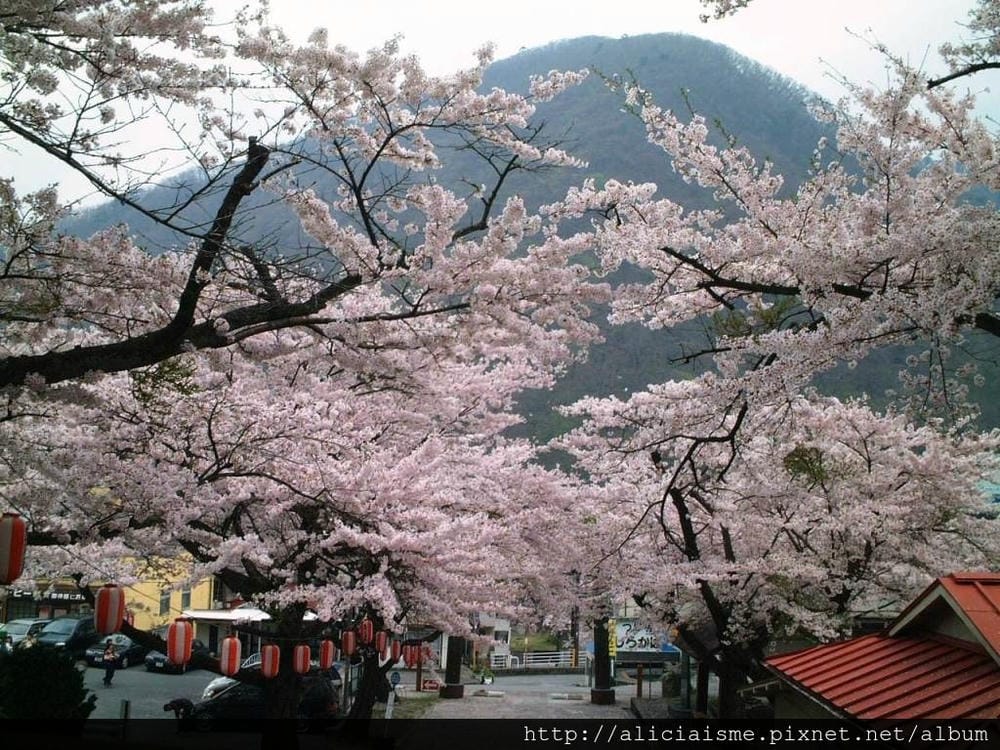 溫泉神社8.JPG 溫泉神社8.JPG