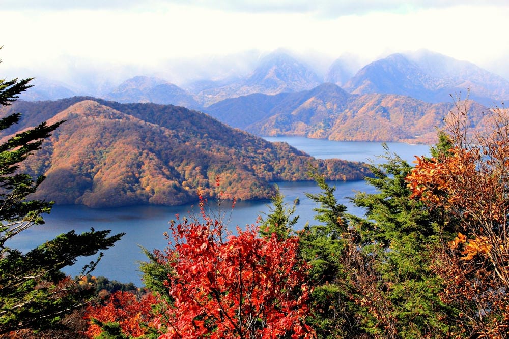 【栃木縣|日光】中禪寺湖、中禪寺:在紅橙黃的波浪層次堆疊間, 【栃木縣|日光】中禪寺湖、中禪寺:在紅橙黃的波浪層次堆疊間,