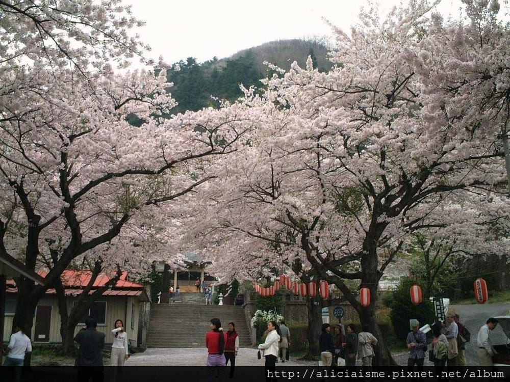 溫泉神社1.JPG 溫泉神社1.JPG