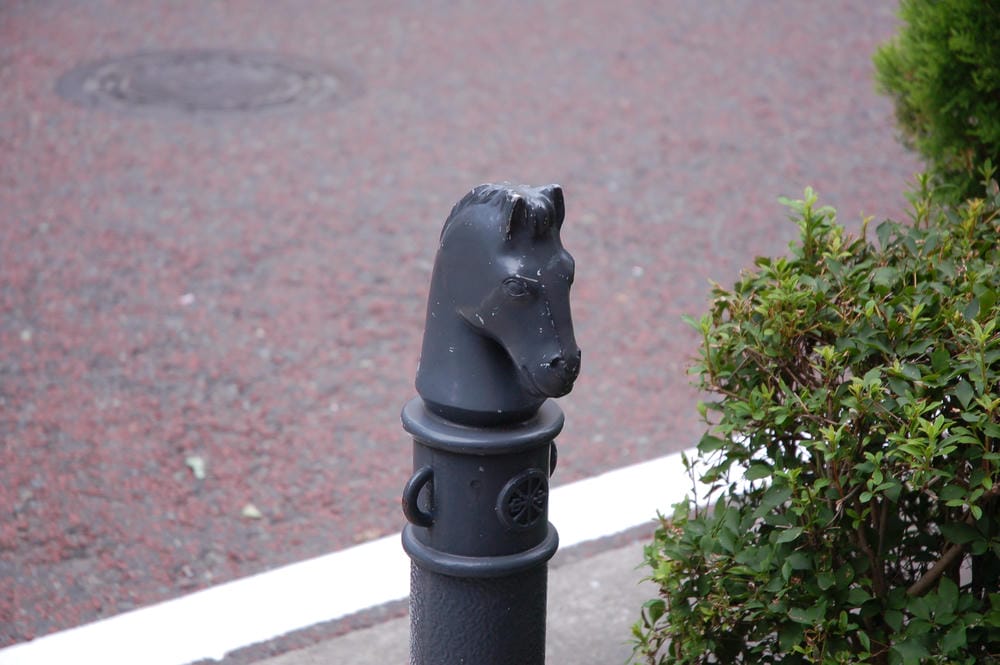 DSC_8939.JPG DSC_8939.JPG
