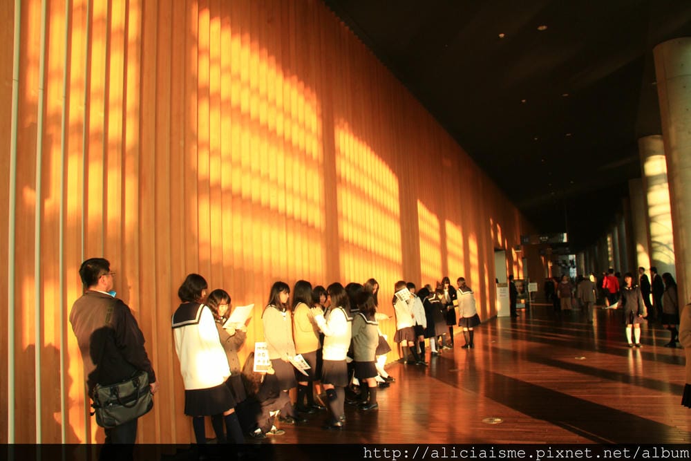 IMG_6779 IMG_6779