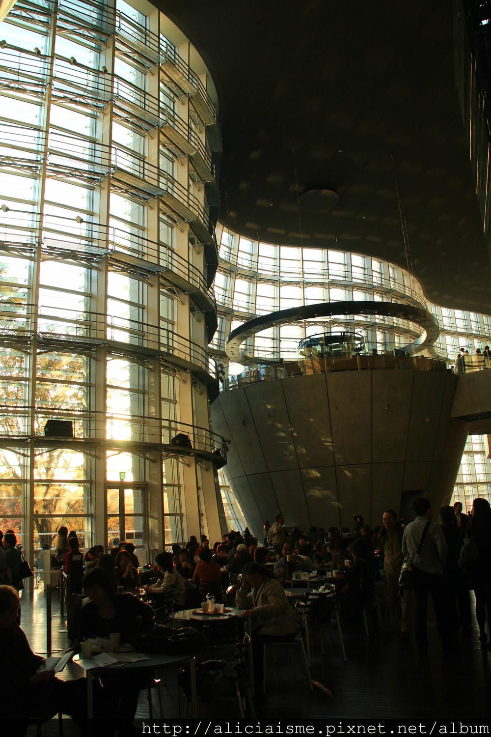 IMG_6789 IMG_6789
