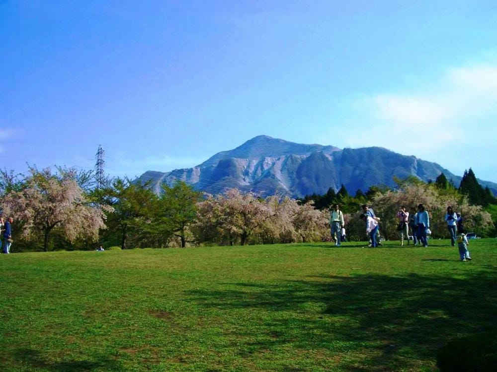 秩父羊山公園 (1).JPG 秩父羊山公園 (1).JPG