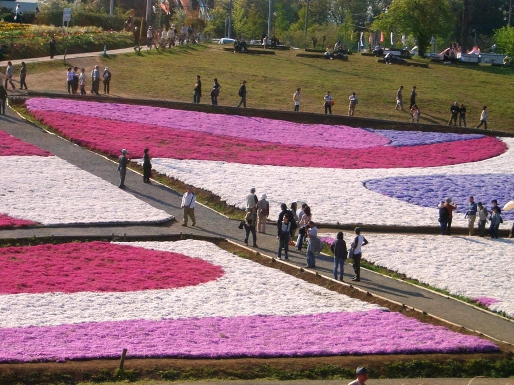秩父羊山公園 (37).JPG 秩父羊山公園 (37).JPG