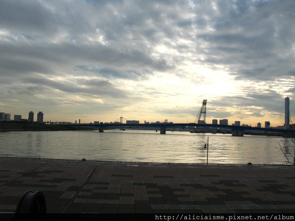 IMG_3100 IMG_3100