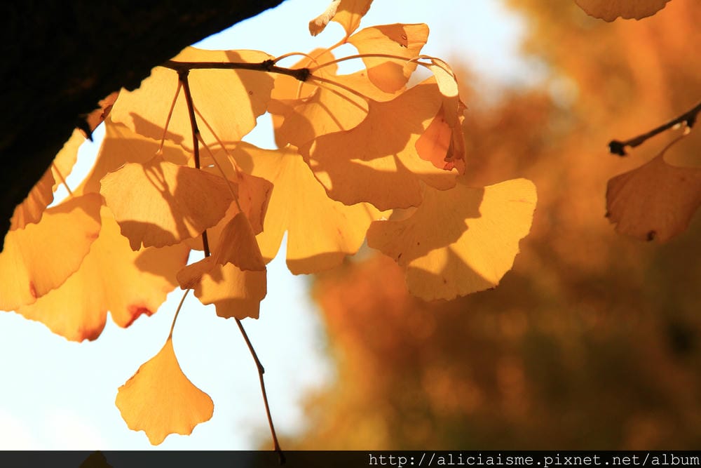 IMG_6444 IMG_6444