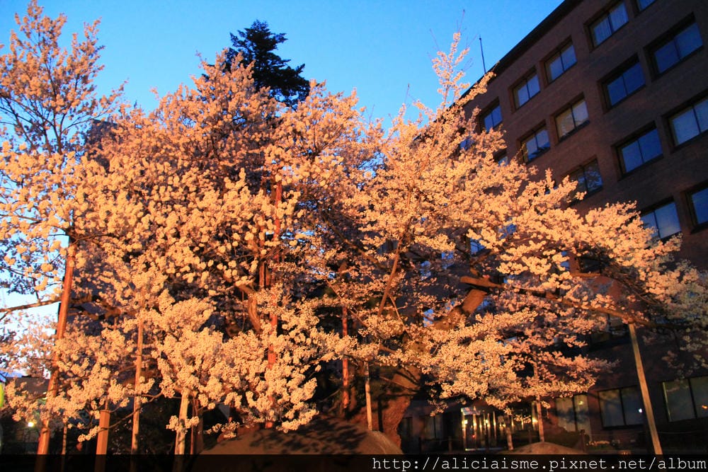 IMG_8053 IMG_8053