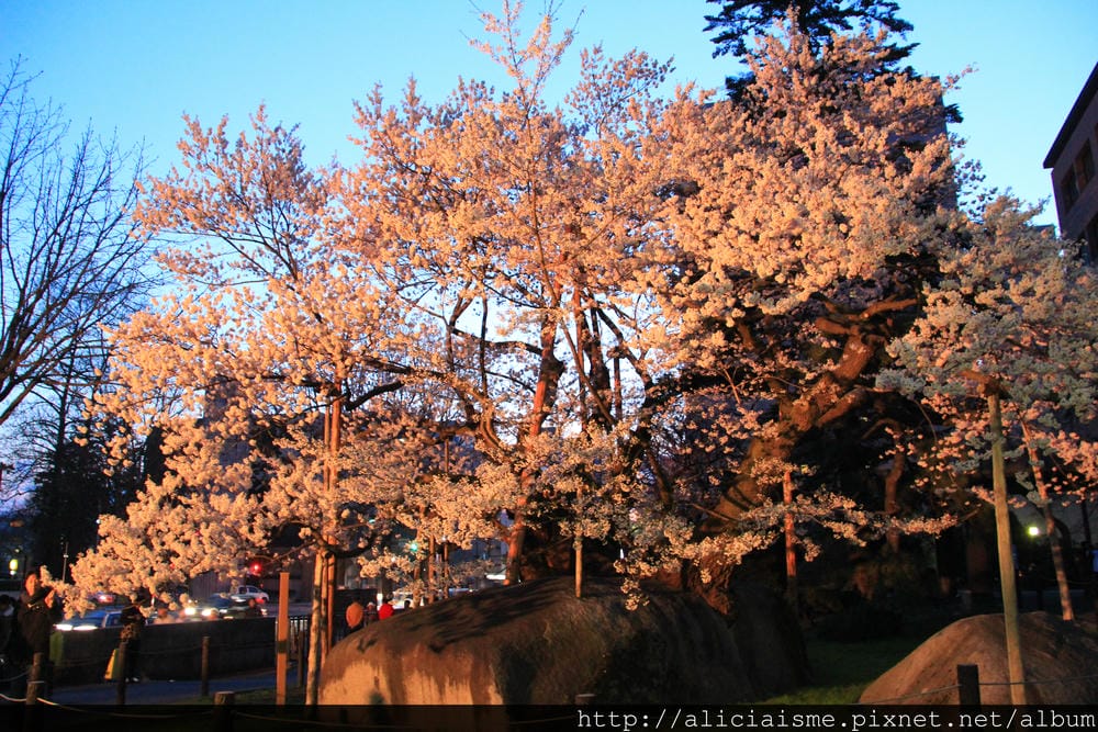 IMG_8041 IMG_8041