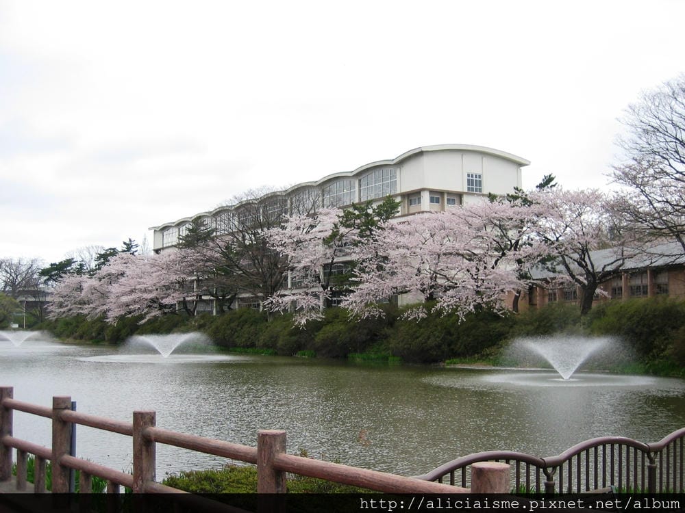 秋田-千秋公園 (68).jpg 秋田-千秋公園 (68).jpg