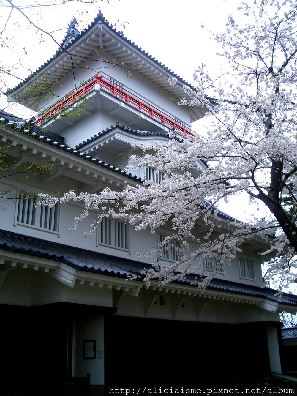 秋田-千秋公園 (29).JPG 秋田-千秋公園 (29).JPG