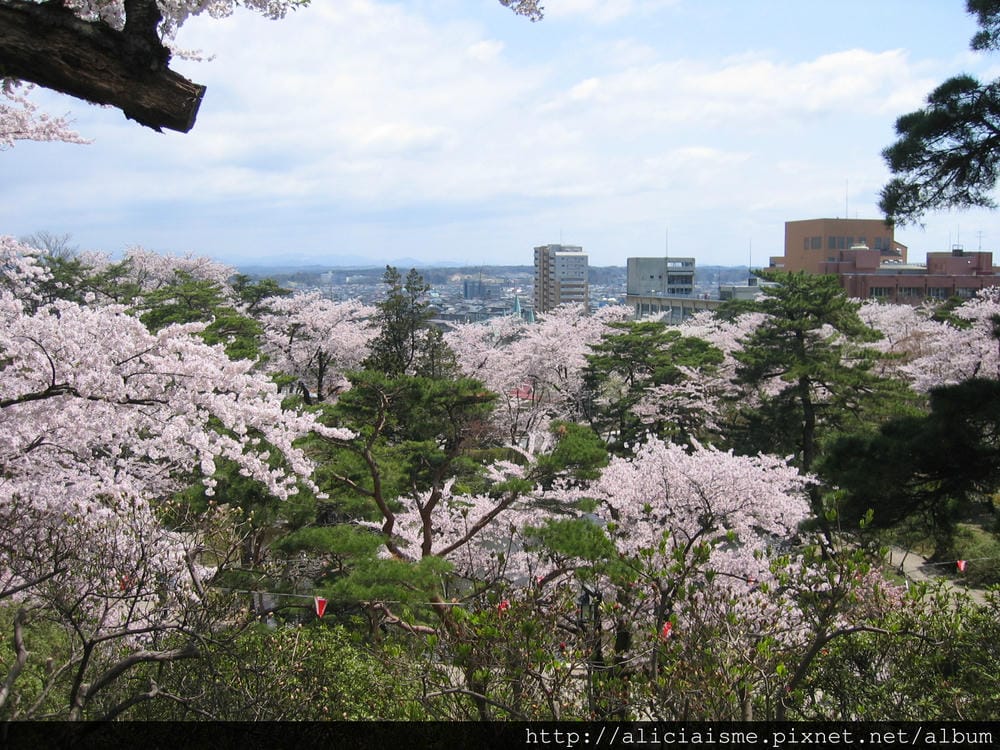 秋田-千秋公園 (63).jpg 秋田-千秋公園 (63).jpg