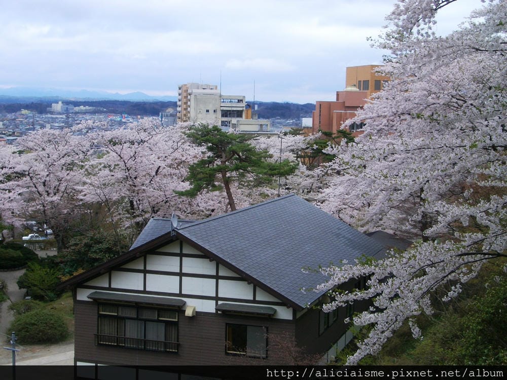 秋田-千秋公園 (38).JPG 秋田-千秋公園 (38).JPG