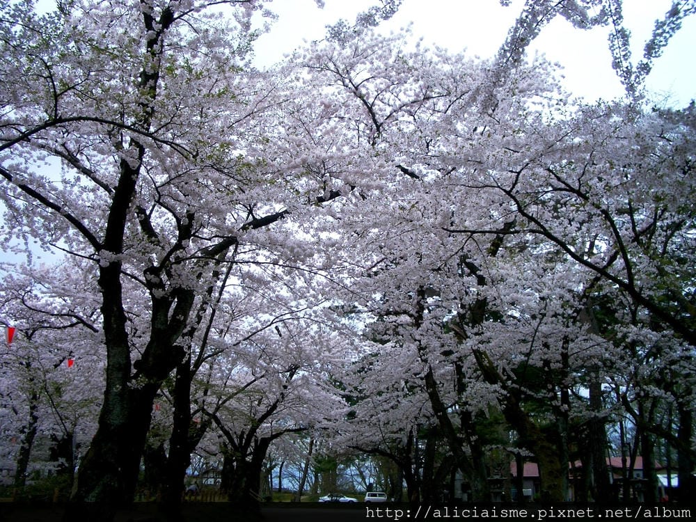 秋田-千秋公園 (32).JPG 秋田-千秋公園 (32).JPG