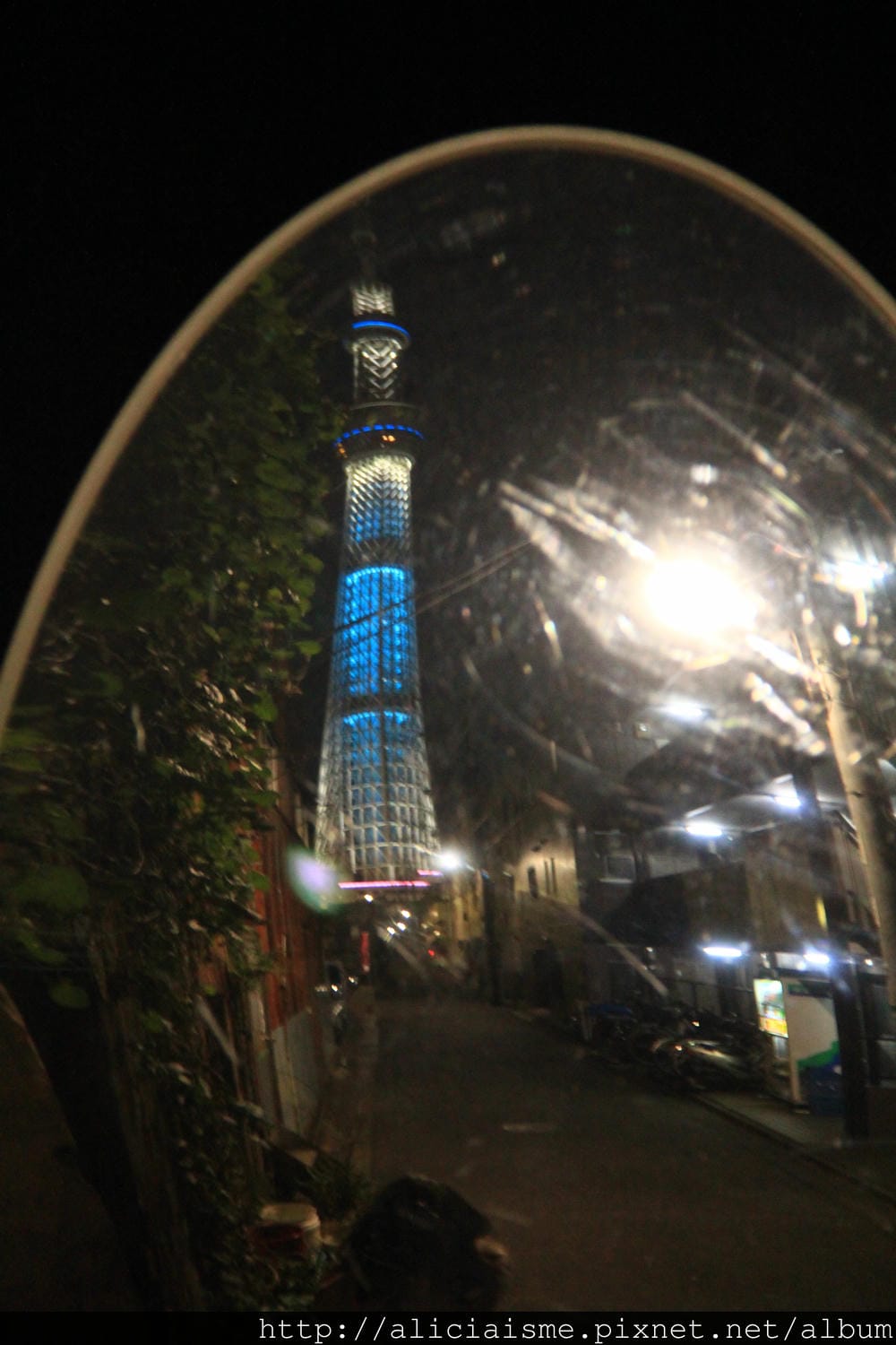 IMG_3583 IMG_3583