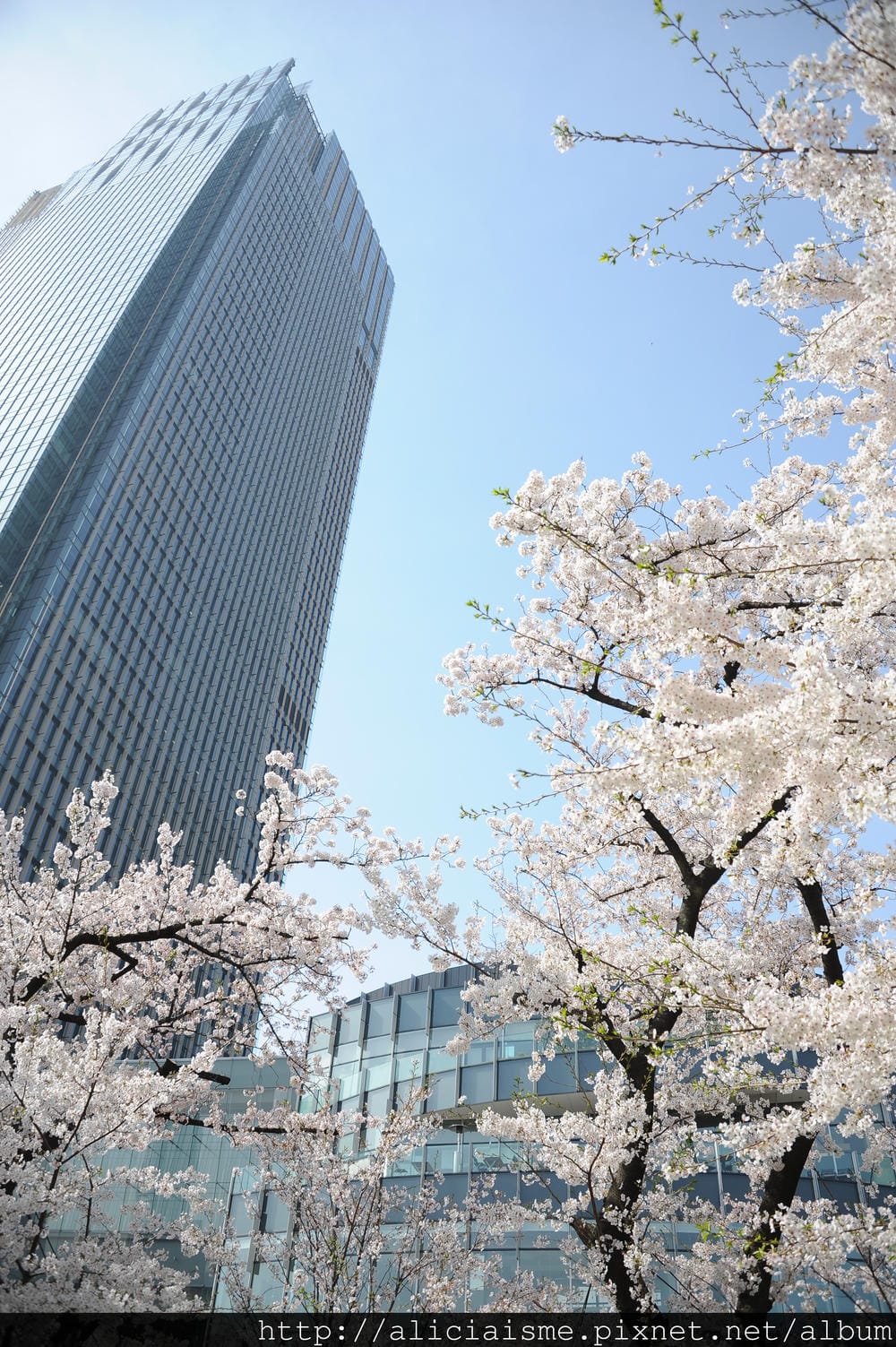 DSC_4880 DSC_4880