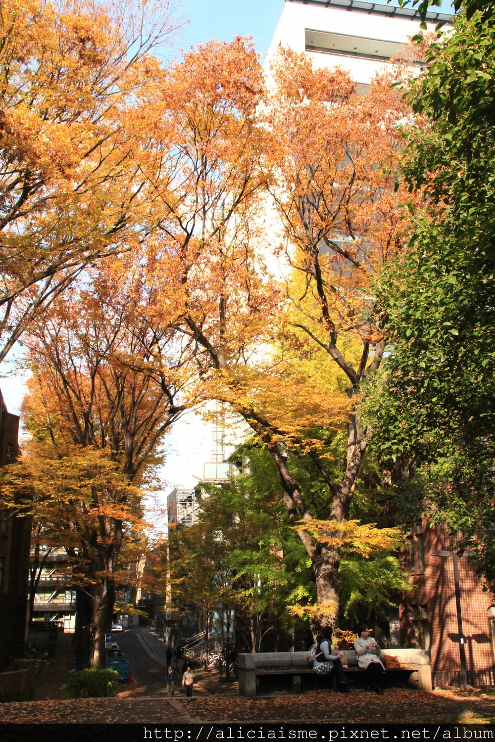 IMG_6140 IMG_6140