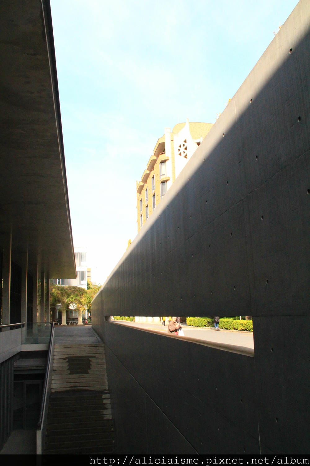 IMG_5862 IMG_5862