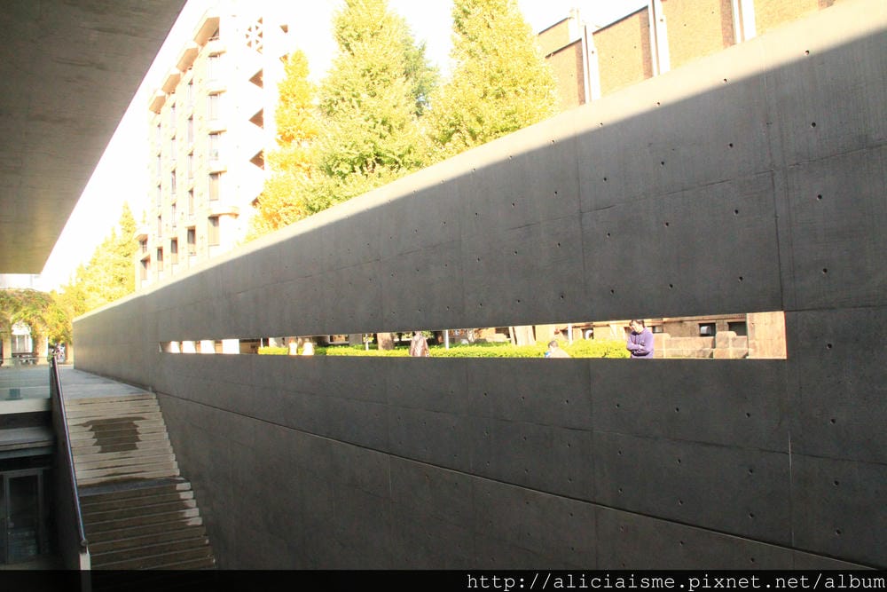 IMG_5859 IMG_5859