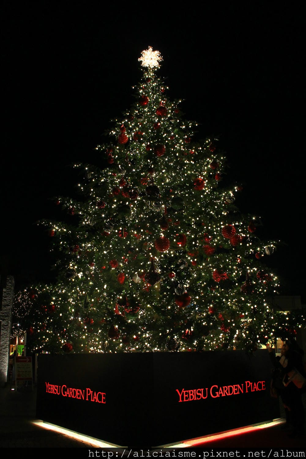 IMG_8328.JPG