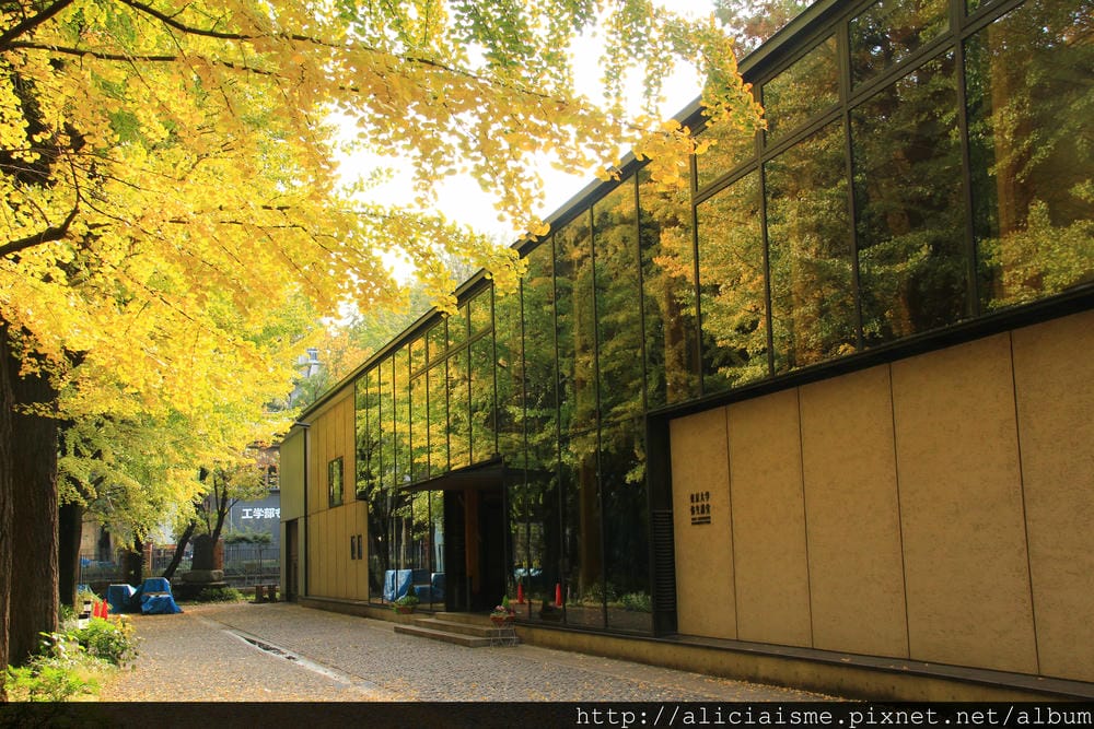 IMG_6192