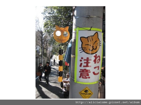 20110118_121210_谷根千貓注意.jpg