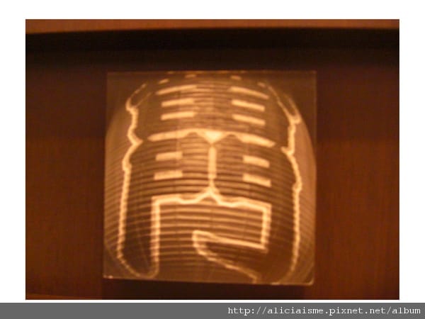 20110129_180324_CIMG4142.jpg