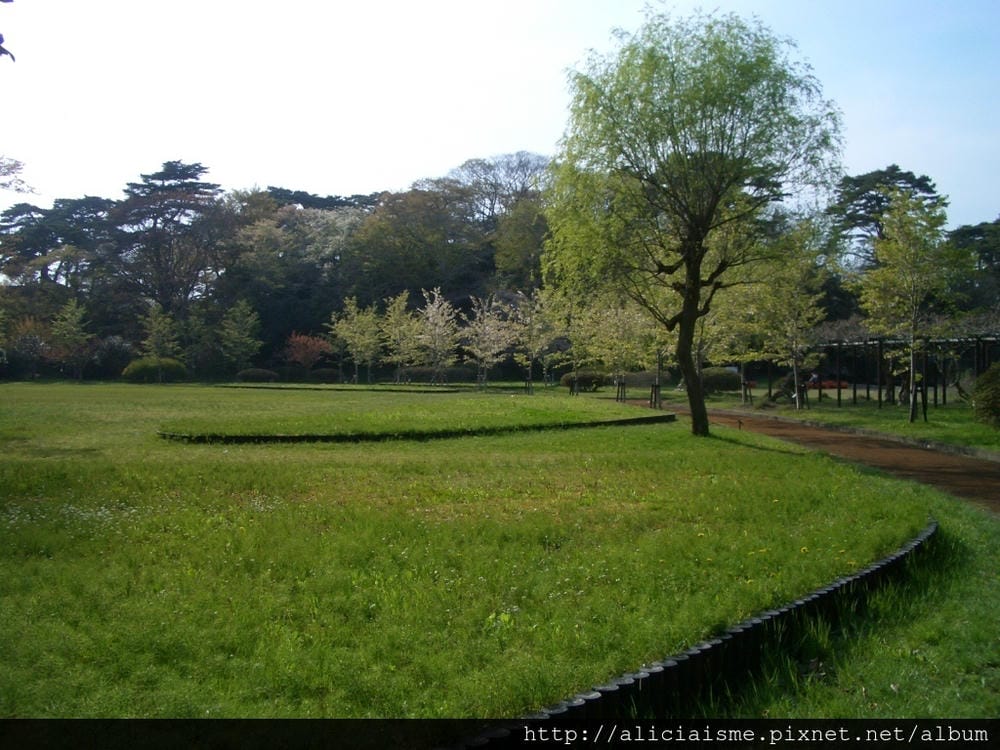 日本3大絕景-松島 (51).JPG