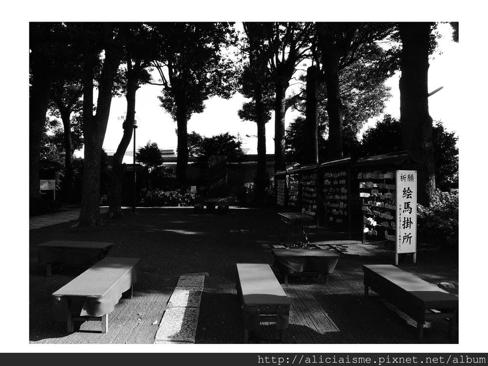 20110603_104352_P1060815.jpg