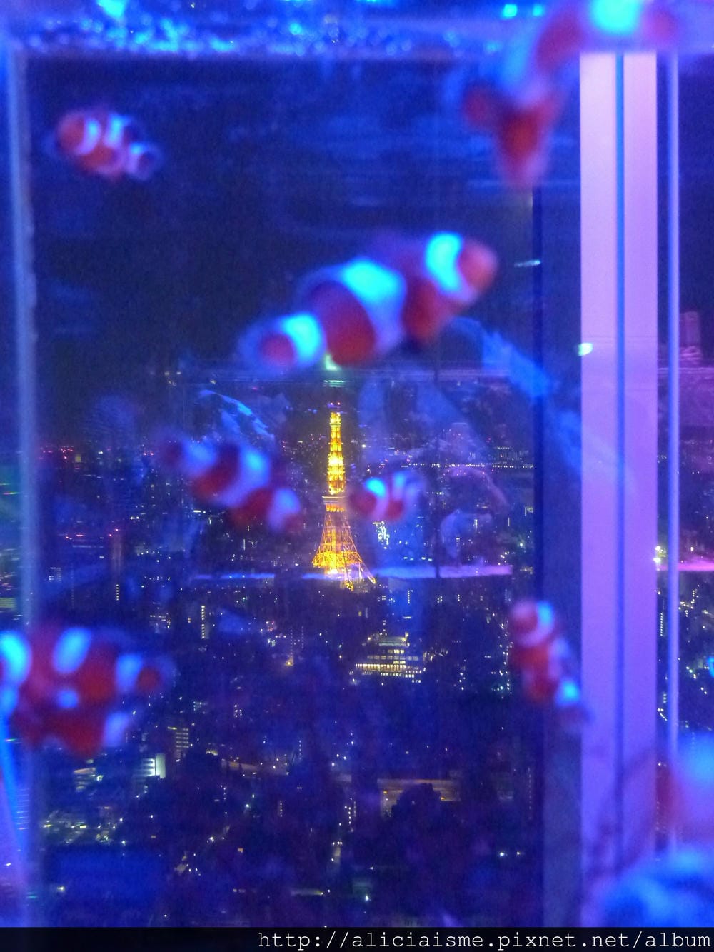 P1160959.JPG