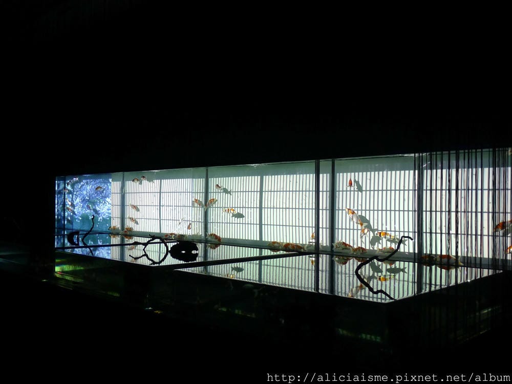 P1160915.JPG
