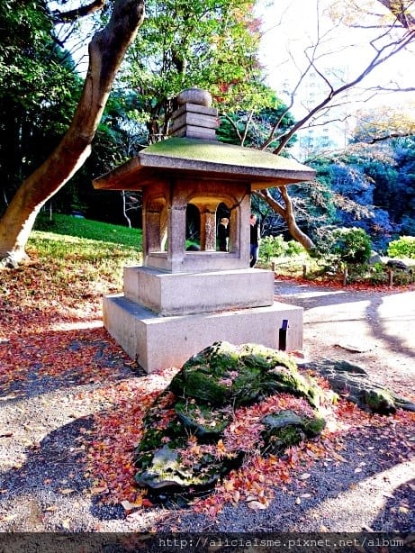 【東京都】小石川後樂園~都心裡的夢幻紅葉日式美景庭園