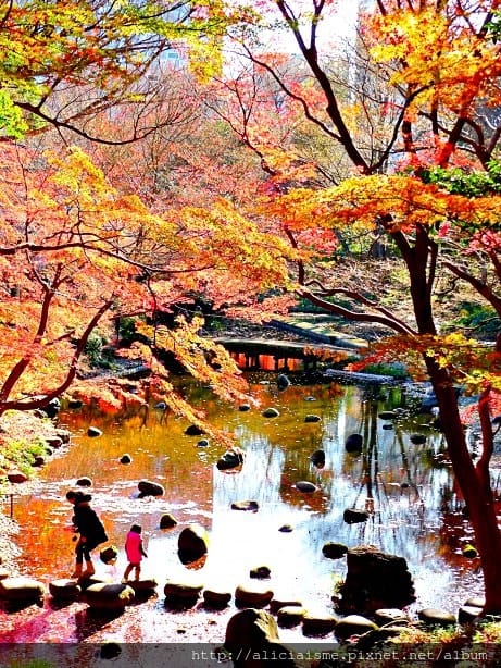 【東京都】小石川後樂園~都心裡的夢幻紅葉日式美景庭園