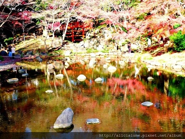 【東京都】小石川後樂園~都心裡的夢幻紅葉日式美景庭園