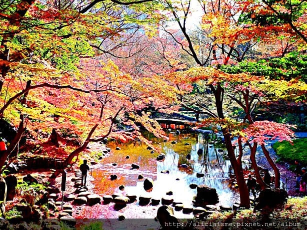 【東京都】小石川後樂園~都心裡的夢幻紅葉日式美景庭園