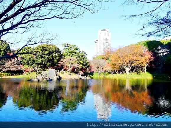 【東京都】小石川後樂園~都心裡的夢幻紅葉日式美景庭園