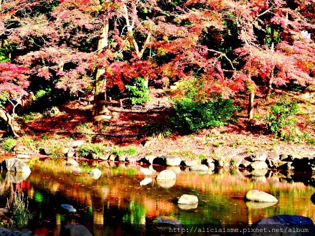 【東京都】小石川後樂園~都心裡的夢幻紅葉日式美景庭園