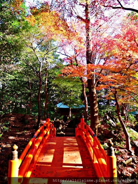 【東京都】小石川後樂園~都心裡的夢幻紅葉日式美景庭園