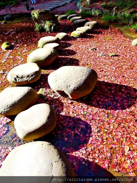 【東京都】小石川後樂園~都心裡的夢幻紅葉日式美景庭園