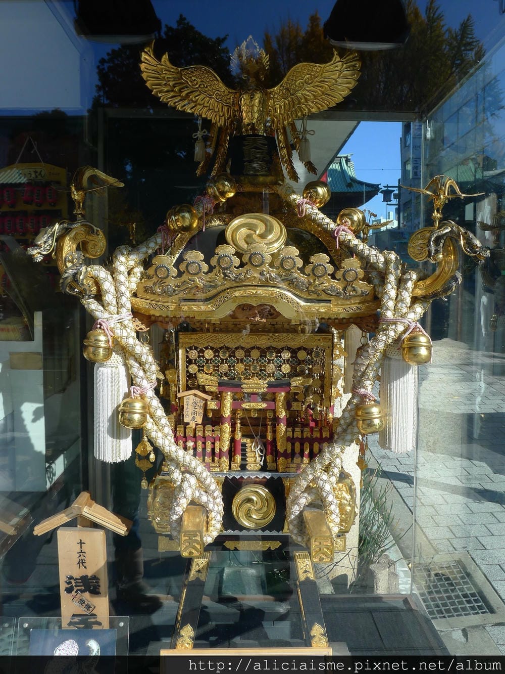 P1080003.JPG